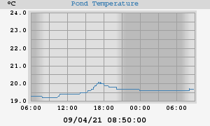 Pond Temperatures