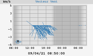 Wind Vector