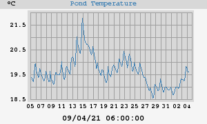 Pond Temperatures