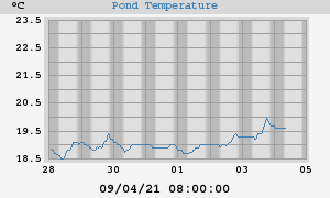 Pond Temperatures