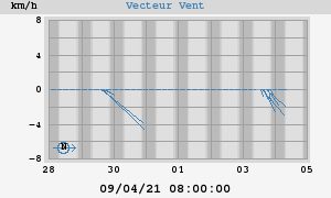 Wind Vector